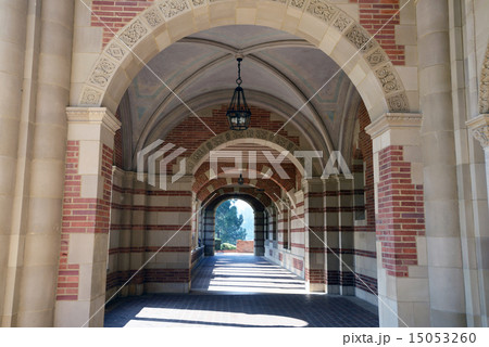 アメリカ　ロサンゼルス　UCLA 15053260