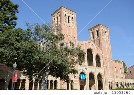 アメリカ　ロサンゼルス　UCLA 15053266