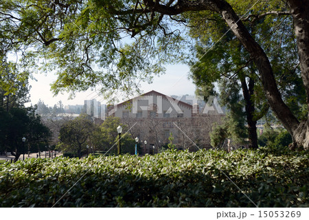 アメリカ ロサンゼルス UCLA アメリカ ロサンゼルス UCLA 15053269