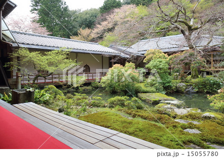 京都　実相院　春の山水庭園 15055780