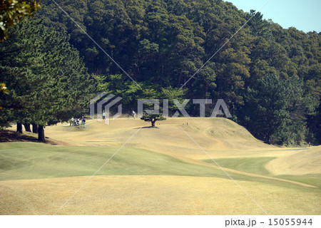 静岡県　川奈ホテルゴルフコース 15055944