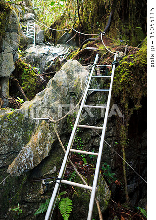Pinnacles trek in gunung mulu national park Pinnacles trek in gunung mulu national park 15056115
