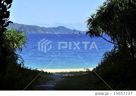 古座間味ビーチ 15057237