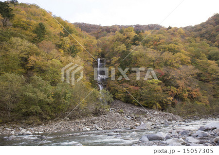 紅葉の蛇王の滝 15057305