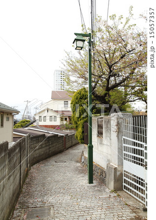 路地 15057357