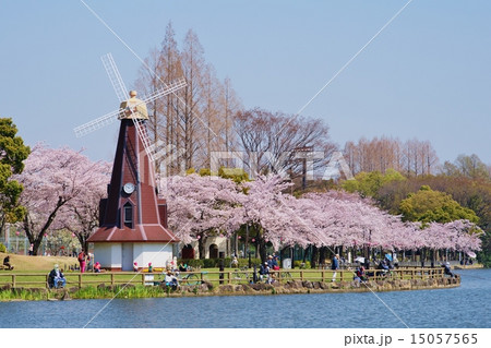 春の浮間公園 春の浮間公園 15057565