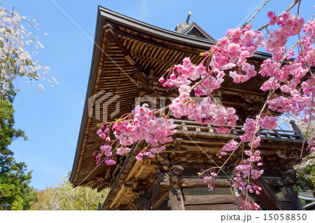 筑波山神社・随神門と桜 (茨城県つくば市) 筑波山神社・随神門と桜 (茨城県つくば市) 15058850