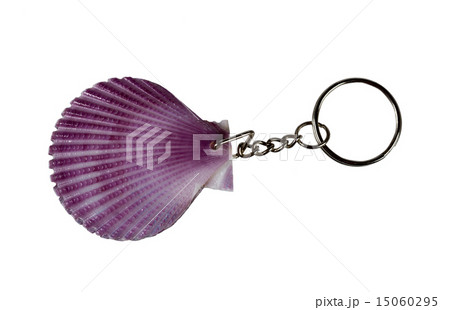 Seashell keychain Seashell keychain 15060295