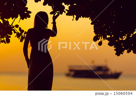 Seashore Silhouette and Sunset Seashore Silhouette and Sunset 15060504