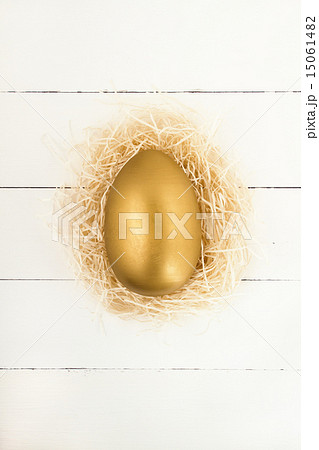 Golden Easter egg in nest 15061482