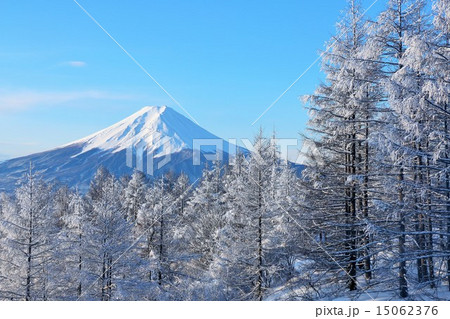 富士山　冬の彩り 15062376