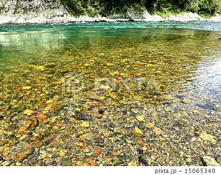 日本一の清流 透き通った水の川の写真素材