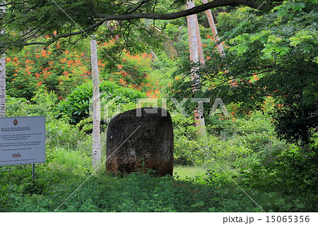 トンガ王国 15065356