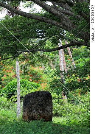 トンガ王国 15065357