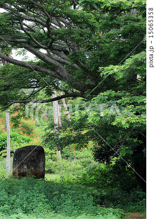 トンガ王国 15065358