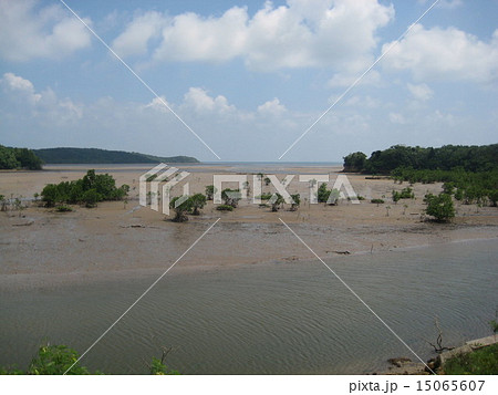 名蔵アンパル 15065607