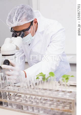 Focus scientist using microscope 15067701