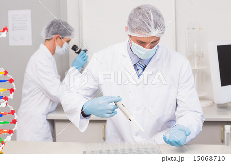 Scientist working with petri dish and another with microscope 15068710