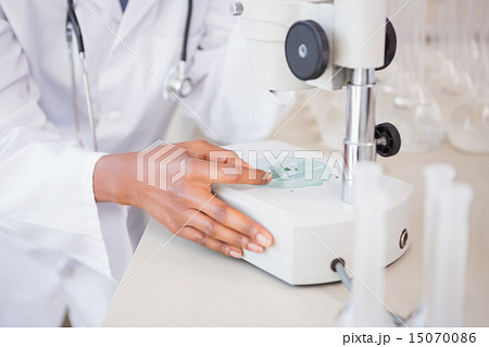 Scientist looking at petri dish under microscope Scientist looking at petri dish under microscope 15070086