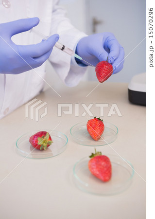 Scientist injecting strawberry 15070296