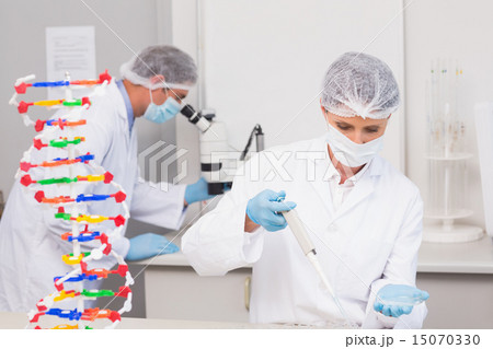Scientist working with petri dish and another with microscope Scientist working with petri dish and another with microscope 15070330