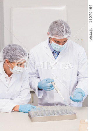 Scientists working with petri dish 15070464
