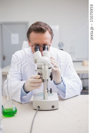 Scientist examining petri dish with microscope Scientist examining petri dish with microscope 15070959