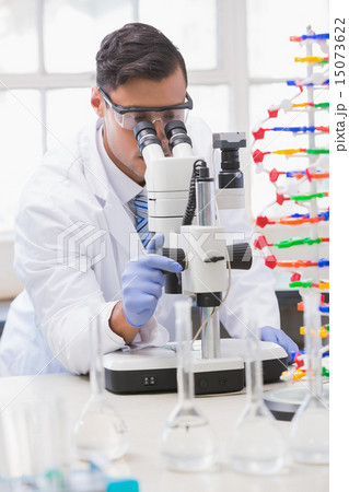 Scientist analysing petri dish with the microscope 15073622