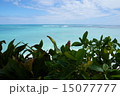 水平線 15077777