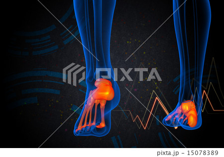 3d render medical illustration of the foot bone 15078389