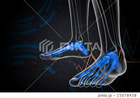 3d render medical illustration of the foot bone 15078438