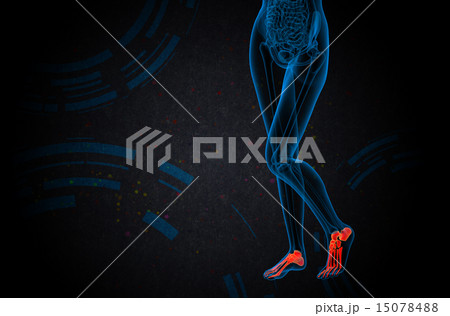 3d render medical illustration of the foot bone 15078488