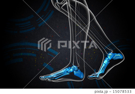 3d render medical illustration of the foot bone 3d render medical illustration of the foot bone 15078533