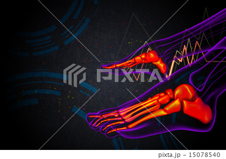 3d render medical illustration of the foot bone 15078540