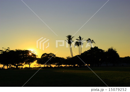 ハワイ ハワイ 15079252