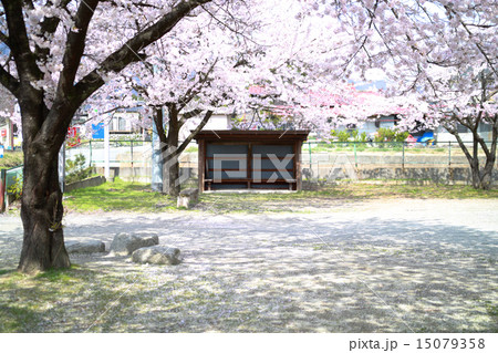待合所 桜 田舎 待合所 桜 田舎 15079358