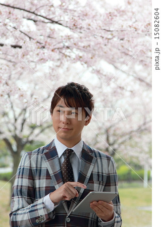 男性1人 (ビジカジ ビジネスカジュアル 仕事 桜 春 新生活 会社員 新学期 ソメイヨシノ) 15082604