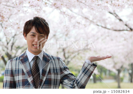 男性1人 (ビジカジ ビジネスカジュアル 仕事 桜 春 新生活 会社員 新学期 ソメイヨシノ) 15082634