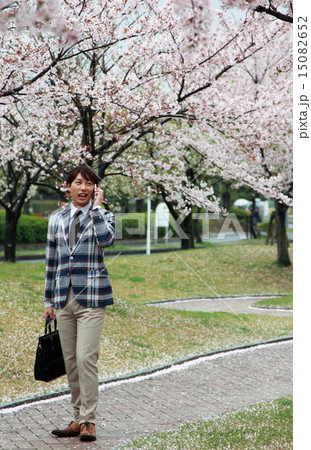 男性1人 (ビジカジ ビジネスカジュアル 仕事 桜 春 新生活 会社員 新学期 ソメイヨシノ) 15082652