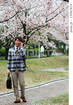 男性1人 (ビジカジ ビジネスカジュアル 仕事 桜 春 新生活 会社員 新学期 ソメイヨシノ) 男性1人 (ビジカジ ビジネスカジュアル 仕事 桜 春 新生活 会社員 新学期 ソメイヨシノ) 15082654