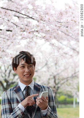 男性1人 (ビジカジ ビジネスカジュアル 仕事 桜 春 新生活 会社員 新学期 ソメイヨシノ) 15082800