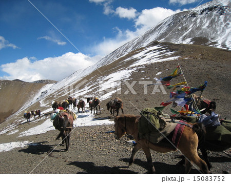 ブータンの山　ジョモラリ 15083752