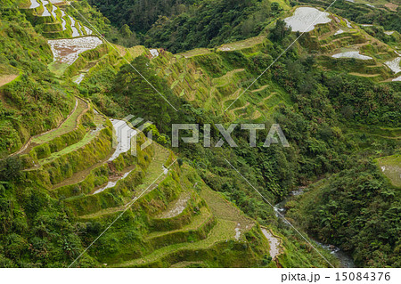 フィリピン　バナウエの棚田 15084376
