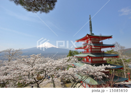 新倉浅間神社から富士をのぞむ 15085650