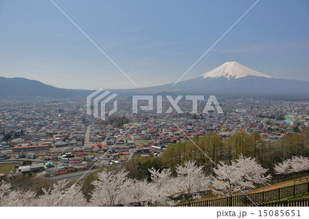 新倉浅間神社から富士をのぞむ 15085651
