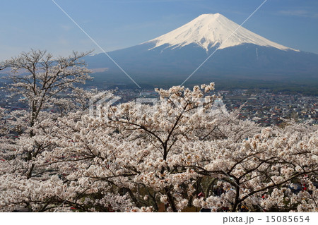 新倉浅間神社から富士をのぞむ 15085654