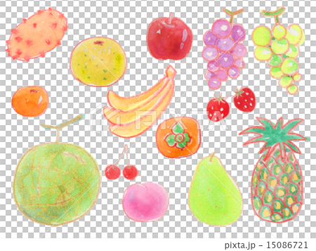 フルーツ　果物　イラスト　食材　イチゴ　メロン　ミカン　バナナ　グレープフルーツ　リンゴ　グレープ　 15086721
