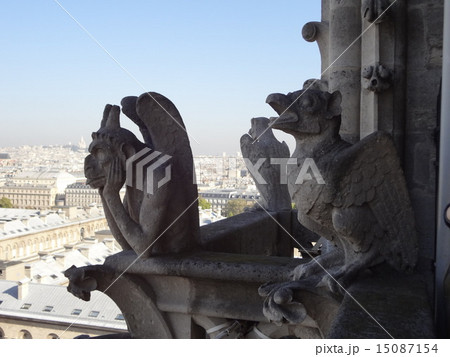 ガーゴイル 15087154