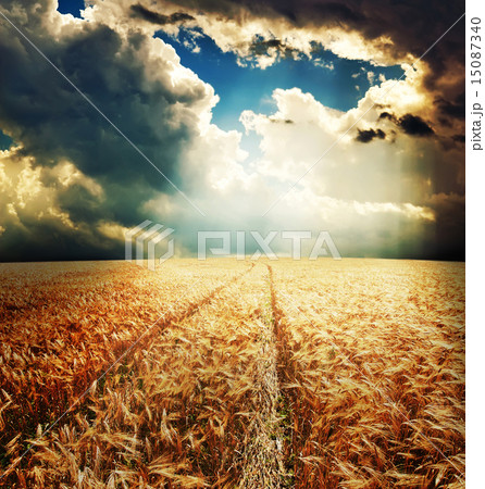 road in field under sunrays road in field under sunrays 15087340