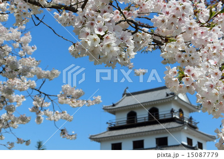 春の益岡公園　白石城三階櫓 15087779